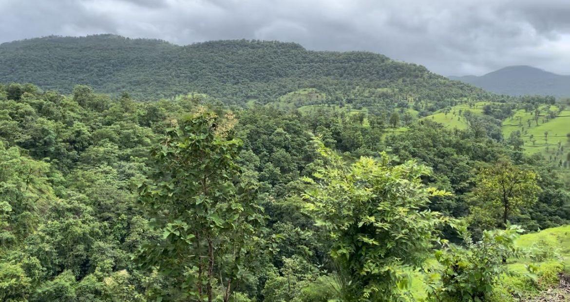 Panoramic Views